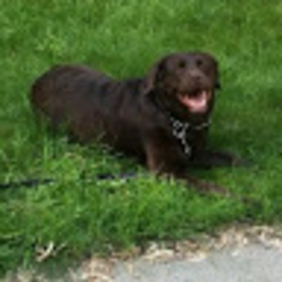 Meet your Posher, Mariam - Picture 1 of 1